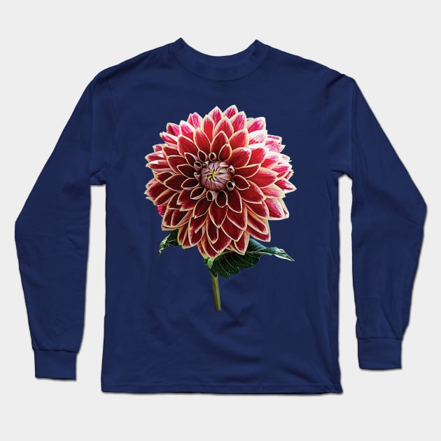 Two-Toned Dahlia Long Sleeve T-Shirt by SusanSavad